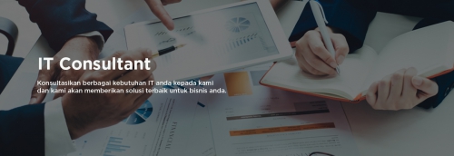 IT Consulting